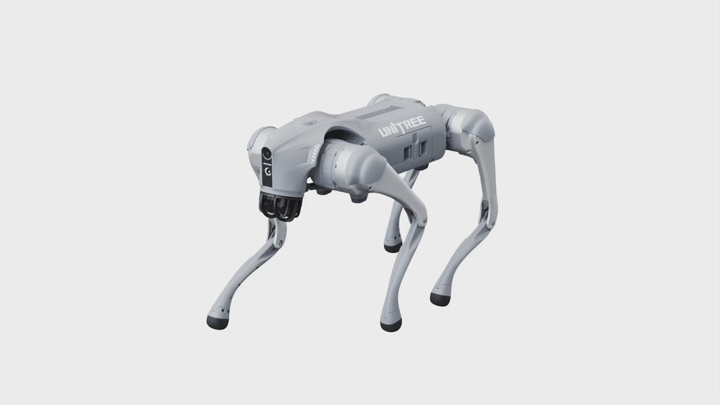 Go2-W   Master All Terrains, Smart Robot Dog, AI Avatar, Opening a New Era of Intelligent Beings